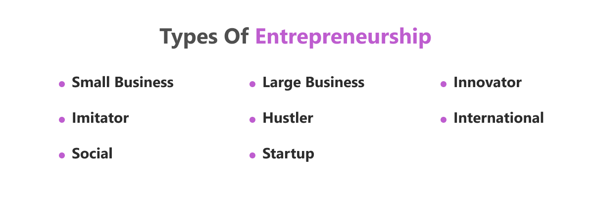 types of entrepreneurs